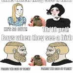 Girls when they see a birb vs Boys when they see a birb | Girls when they see a birb; HE'S SO CUTE! 10/10 pet! Boys when they see a birb; PRAISE THE GOD OF FLIGHT; PRAISE THE GOD OF FLIGHT | image tagged in boys vs girls,birb | made w/ Imgflip meme maker