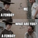 Rick and Carl | ME; A FEMBOY; WHAT ARE YOU? A FEMBOY | image tagged in memes,rick and carl | made w/ Imgflip meme maker