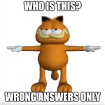 who is it? | WHO IS THIS? WRONG ANSWERS ONLY | image tagged in garfield t-pose,who is this | made w/ Imgflip meme maker