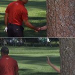 Tiger Woods Meets a Tree