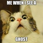 Scared Cat | ME WHEN I SEE A; GHOST | image tagged in memes,scared cat | made w/ Imgflip meme maker