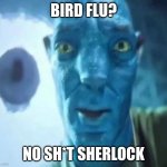 Avatar guy | BIRD FLU? NO SH*T SHERLOCK | image tagged in avatar guy,avatar | made w/ Imgflip meme maker