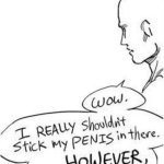 I shouldn’t really stick my penis