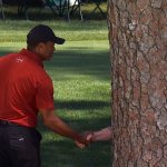 Tiger Woods Tree