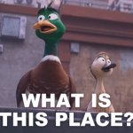 Mack Mallard - What is this place?