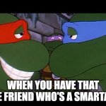 Leo and Raph | WHEN YOU HAVE THAT ONE FRIEND WHO'S A SMARTASS | image tagged in leo and raph | made w/ Imgflip meme maker