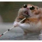 Ratasa