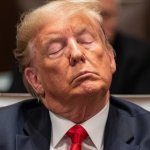 Drowsy Don