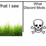 comparison table | What I see; What Discord Mods see | image tagged in comparison table | made w/ Imgflip meme maker