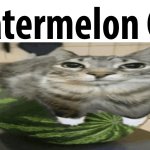 watermelon ahh cat
