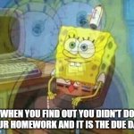 When you forget homework | WHEN YOU FIND OUT YOU DIDN'T DO YOUR HOMEWORK AND IT IS THE DUE DATE | image tagged in spongebob panic inside | made w/ Imgflip meme maker