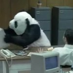 Panda Ragequit GIF Template