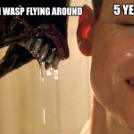 Frozen solid and praying to god | THE RANDOM WASP FLYING AROUND; 5 YEAR OLD ME | image tagged in xenomorph alien,xenomorph,alien,childhood,wasp,memes | made w/ Imgflip meme maker