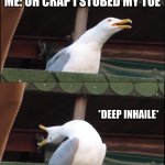 Inhaling Seagull | ME WHEN I STUB MY TOE ON THE BED FRAME; ME: OH CRAP I STUBED MY TOE; *DEEP INHAILE*; AAAAAAAAAAHHHHHHHHHHH | image tagged in memes,inhaling seagull | made w/ Imgflip meme maker