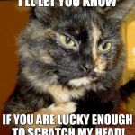 I'LL LET YOU KNOW IF YOU ARE LUCKY ENOUGH TO SCRATCH MY HEAD! | made w/ Imgflip meme maker