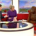 Orangutan TV show template