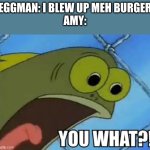 Amy's Real Reaction to this | EGGMAN: I BLEW UP MEH BURGER
AMY: | image tagged in you what,sonic,sonic the hedgehog,sonic boom | made w/ Imgflip meme maker