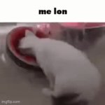 me lon | image tagged in gifs,me lon | made w/ Imgflip video-to-gif maker