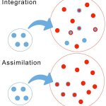 marginalization