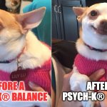 BEFORE AND AFTER PSYCH-K® | AFTER A 
PSYCH-K®  BALANCE; BEFORE A 
PSYCH-K® BALANCE | image tagged in before and after | made w/ Imgflip meme maker