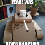 Peace was never a option cat