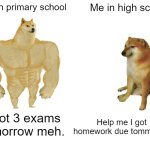 School transitions be like | Me in primary school; Me in high school; Help me I got homework due tommorow; I got 3 exams tomorrow meh. | image tagged in memes,buff doge vs cheems | made w/ Imgflip meme maker