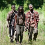 TWD Michonne walkers