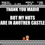 Thank You Mario | THANK YOU MARIO; BUT MY NUTS ARE IN ANOTHER CASTLE | image tagged in thank you mario | made w/ Imgflip meme maker
