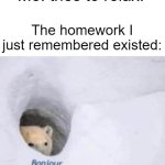 Bonjour | Me: tries to relax. The homework I just remembered existed: | image tagged in bonjour | made w/ Imgflip meme maker