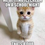 YES SIR | ME GETTING ICECREAM ON A SCHOOL NIGHT; THATS A DUB | image tagged in memes,cute cat | made w/ Imgflip meme maker