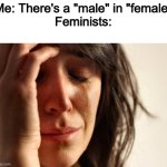 cry your hearts out but that aint changin | Me: There's a "male" in "female"
Feminists: | image tagged in memes,first world problems,funny,animals,humans,males | made w/ Imgflip meme maker
