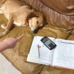 dog homework