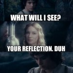Stupid Frodo | WILL YOU LOOK INTO THE MIRROR? WHAT WILL I SEE? YOUR REFLECTION. DUH | image tagged in will you look into the mirror | made w/ Imgflip meme maker