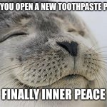 We can all relate | WHEN YOU OPEN A NEW TOOTHPASTE PACKET; FINALLY INNER PEACE | image tagged in memes,satisfied seal | made w/ Imgflip meme maker
