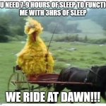 we ride at dawn! big bird | YOU NEED 7-9 HOURS OF SLEEP TO FUNCTION
ME WITH 3HRS OF SLEEP; WE RIDE AT DAWN!!! | image tagged in big bird in carriage | made w/ Imgflip meme maker