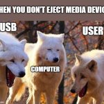 Laughing wolf | WHEN YOU DON'T EJECT MEDIA DEVICE; USB; USER; COMPUTER | image tagged in laughing wolf,technology | made w/ Imgflip meme maker