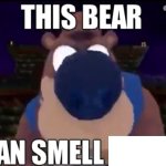This bear can smell X meme