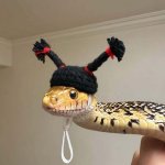 snake with knitted cap