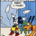 Stupid am I right | IF YOU SEE A MOUSE AND YOU GET SCARED THEN WHY ARE YOU AND YOUR HUSBAND A MOUSE | image tagged in eek a mouse | made w/ Imgflip meme maker