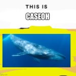 This is caseoh AKA your mom | CASEOH | image tagged in this is blank | made w/ Imgflip meme maker