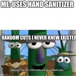 I hate paper cuts | ME: USES HAND SANITIZER; RANDOM CUTS I NEVER KNEW EXISTED | image tagged in allow us to introduce ourselves,memes,hand sanitizer | made w/ Imgflip meme maker