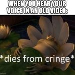 fr | WHEN YOU HEAR YOUR VOICE IN AN OLD VIDEO: | image tagged in dies from cringe,nostalgia,relatable | made w/ Imgflip meme maker