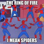 Spiderman multiple | THE RING OF FIRE; I MEAN SPIDERS | image tagged in spiderman multiple | made w/ Imgflip meme maker