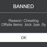 ban for cheating | BANNED; Reason: Cheating
Offsite items: ;kick ;ban ;fly | image tagged in bruh | made w/ Imgflip meme maker
