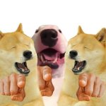 doge laughing