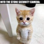 Cute Cat Meme | NO ONE:; 7 YEAR OLD ME LOOKING INTO THE STORE SECURITY CAMERA: | image tagged in memes,cute cat | made w/ Imgflip meme maker