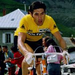 Eddy Merckx yellow jersey