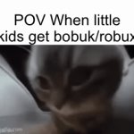 All little pests, I mean children | POV When little kids get bobuk/robux | image tagged in gifs,cats | made w/ Imgflip video-to-gif maker