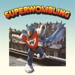 Super womble