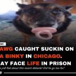 Dawg caught sucking on da binky may face life in prison